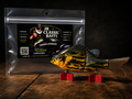 Custom Painted Pan Fish